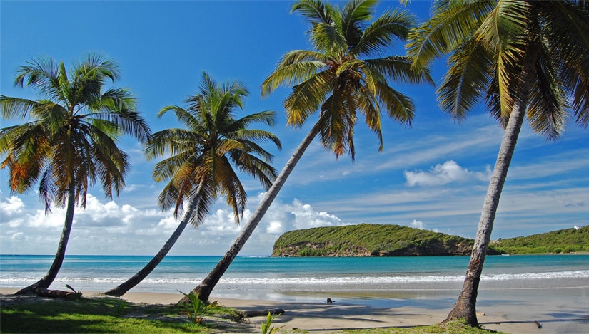 Caribbean landscape main image