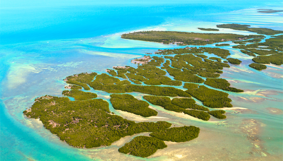 Florida Keys main image