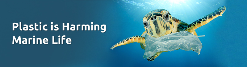 Plastic is harming marine life banner