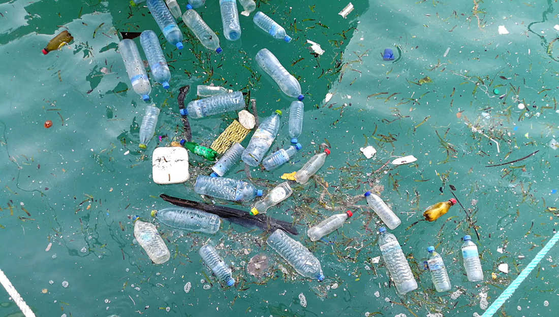 Plastic Pollution and Marine Life