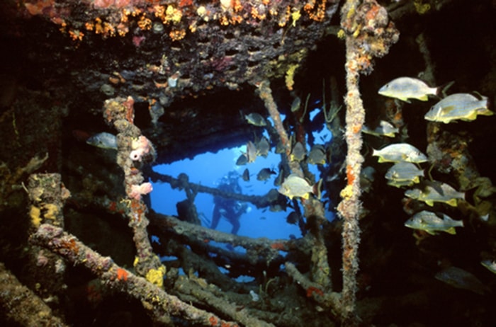 The Wreck of the Rhone