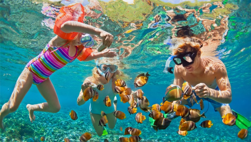 Snorkeling in the Caribbean