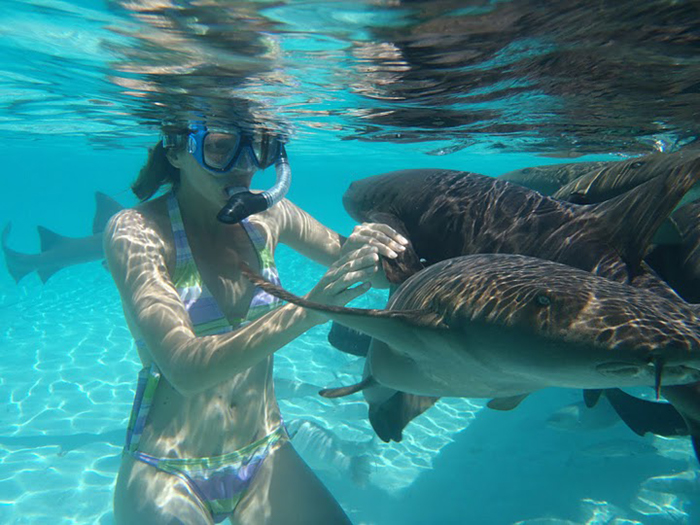 Snorkeling with nurse sharks